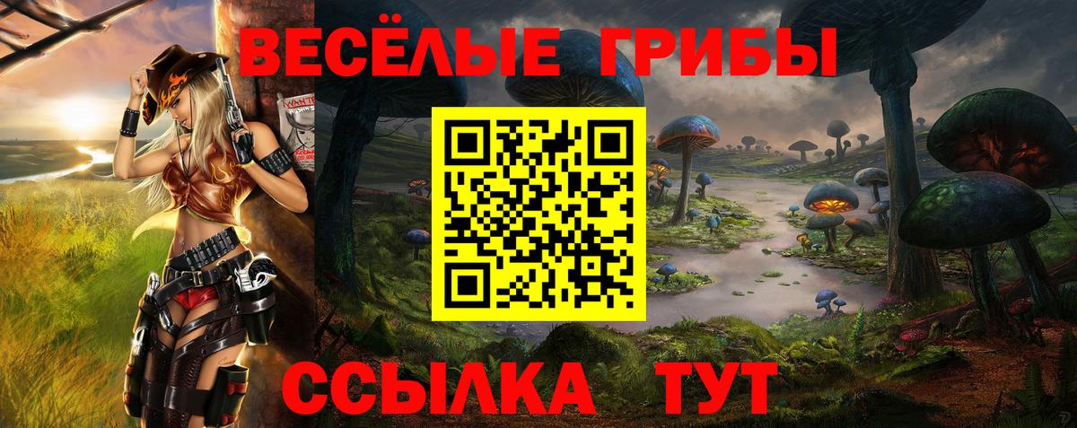 Галлюциногенные грибы Psilocybine cubensis Ухта